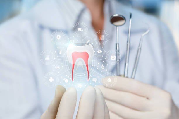 Professional Holistic Dental Care Services in Belmont, MS